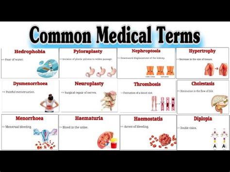 what is rv medical term.